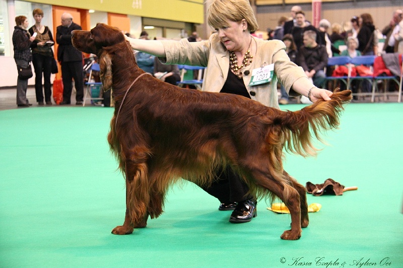 Crufts2011 449.jpg